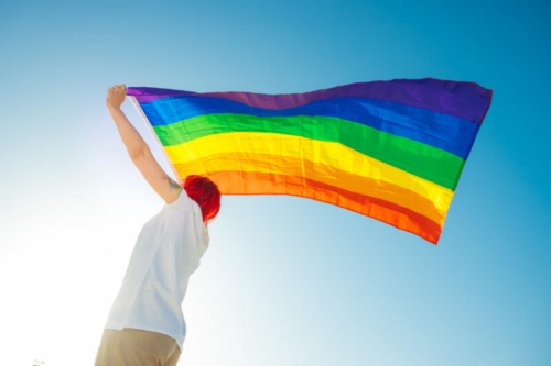 Câmara Municipal aprova lei inconstitucional e obrigação de contratar transexuais deve ser vetada